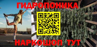 шишки Брянск