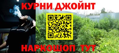 шишки Брянск