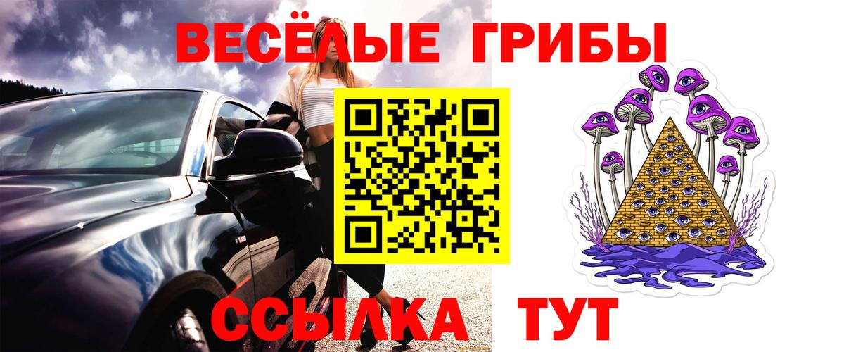 Галлюциногенные грибы Psilocybine cubensis Каменск-Уральский