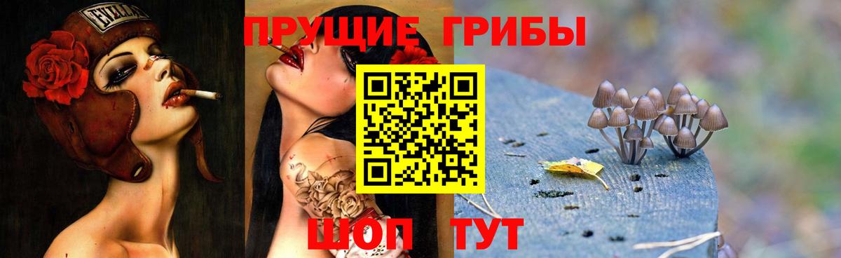 Галлюциногенные грибы Psilocybe  Псилоцибиновые грибы мухоморы  Каменск-Уральский  Вход с VPN 